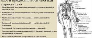 Дистальный и проксимальный. Что это в анатомии, стоматологии, отдел, лучелоктевой сустав, каналец, конец