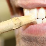 Как правильно использовать мисвак (сивак) для чистки зубов