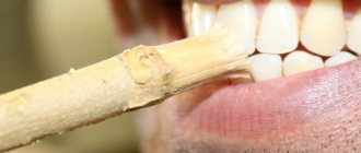 How to properly use miswak (siwak) to clean teeth