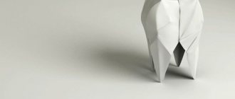Which teeth are better to insert?