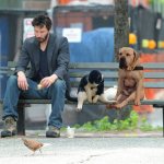 Lose the meaning of life