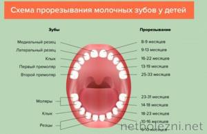 Температура на фоне прорезывания зубов