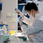 технология выращивания зубов у человека